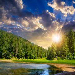 pine forest and lake near the mountain at sunset