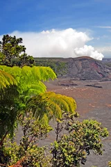 Fotobehang Hawaii Volcanoes National Park, USA.. © Chee-Onn Leong