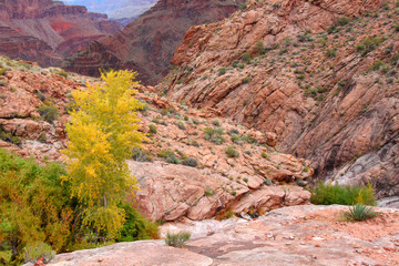 Grand Canyon Autumn Scenery
