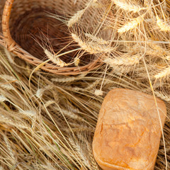 Freshly baked traditional bread in field of wheat