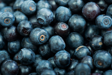 Blueberries as background