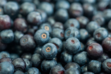 Blueberries as background