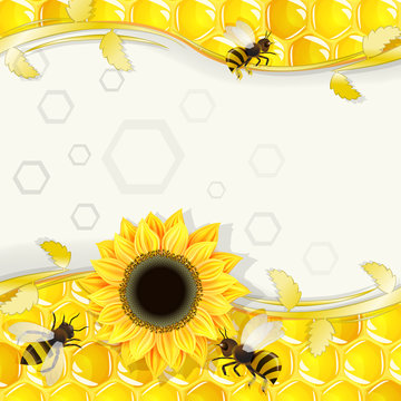 Sunflowers and bees over honeycombs background