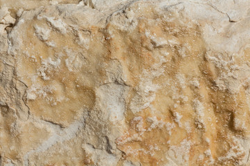 Texture - light yellow sandstone, structure of stone.