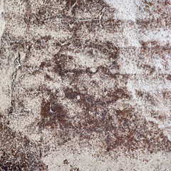 old metal rusty barrel