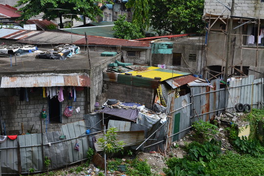 The Squatter