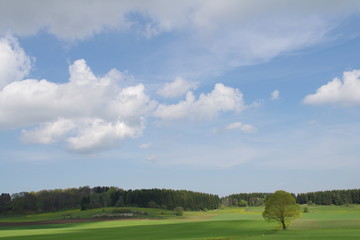 Bayerisch Schwaben im Frühling