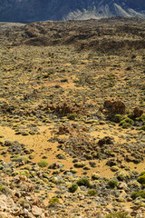 Blick in die Caldera Las Canadas auf Teneriffa