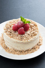 delicious cake with custard and raspberry on dark background