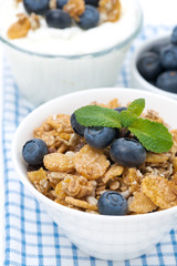 delicious muesli, fresh blueberries and homemade yogurt, closeup