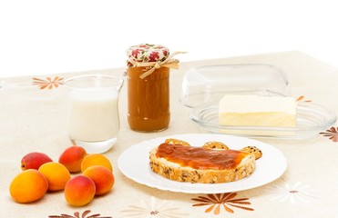 Rich and Healthy Breakfast