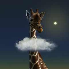 Sweet giraffe and cloud