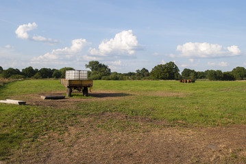 Farm scene - beef cattle, water tank and trough