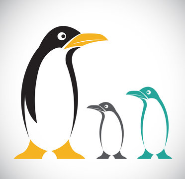Vector image of penguin