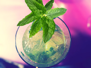 Cocktail Mojito