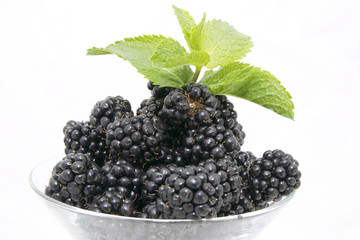 blackberries on a white background in the restaurant