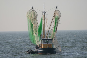 Fish trawler at IJsselmeer, Netherlands