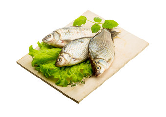 Crucian fish