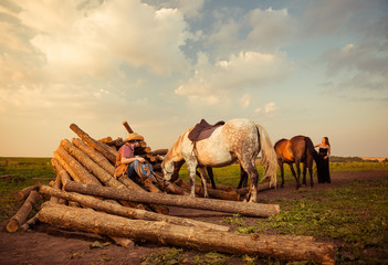 farm lumbers and horses