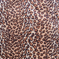 The texture of fabric stripes leopard