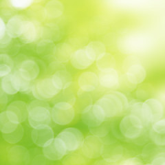 Magische Bokeh Landschaft