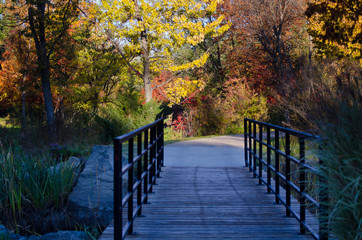Fototapeta na wymiar Footbridge on the Autumn Trail