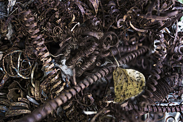 metal shavings