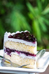 Blueberry cake
