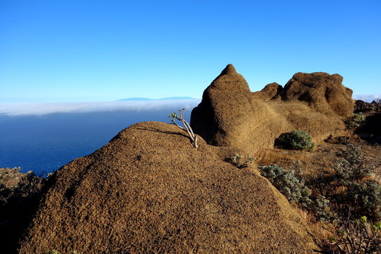 La Palma from Arure