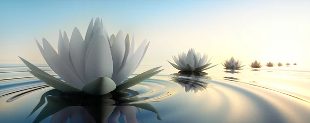 Afwasbaar Fotobehang Badkamer Lotus im See