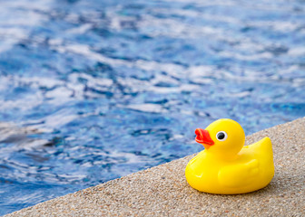 Rubber duck beside the swimming pool