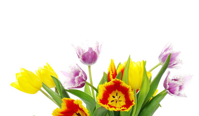 bouquet of the tulips