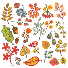 Obraz na płótnie Canvas Decorative autumn leaves