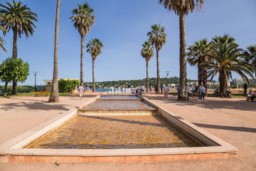Antibes, France. Palm trees on the waterfront