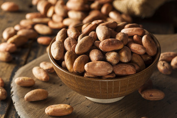 Raw Organic Cocoa Beans