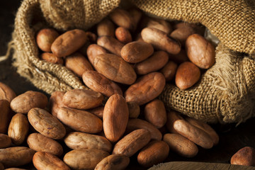 Raw Organic Cocoa Beans