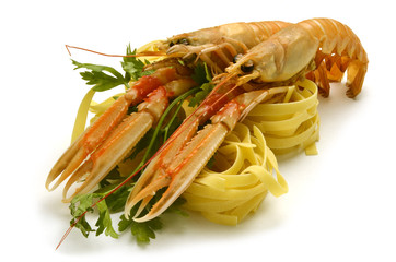 Nephrops norvegicus Norway lobster Scampi Kaisergranat