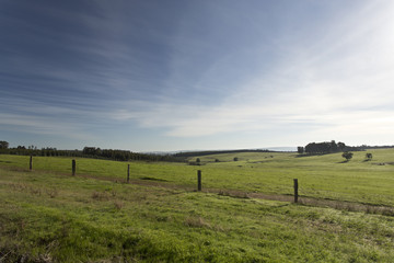 Rural Australia in winter