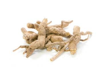 Aristolochia sp on white background