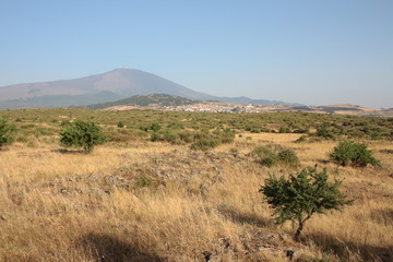 Etna, Maletto e un paesaggio siciliano