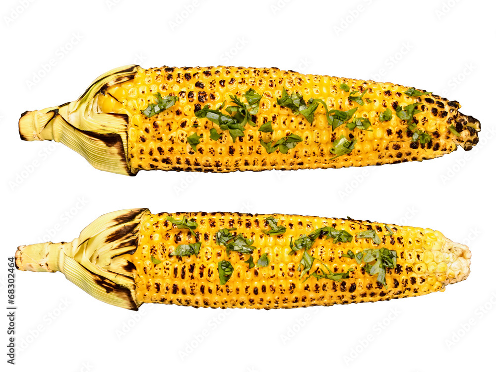 Wall mural roasted corncob isolated