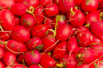 Dirty Red Radishes