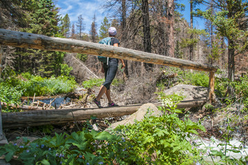 Hiker crossing a footbridge on the trail