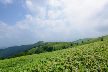 Fujimidai Highland in Nagano/Gifu, Japan