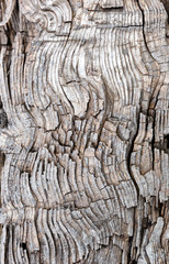 Old weathered wood