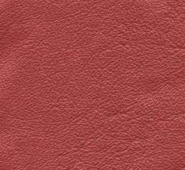 Fototapeta premium red leather texture as background