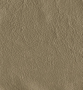 Snuff Colour Imagens Procure 15 Fotos Vetores E Vídeos Adobe Stock