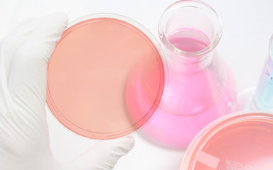 研究（微生物）イメージ　