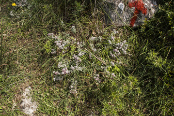 Obraz premium Arrow sign - directions for hikers