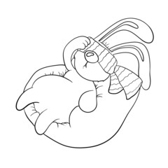 rabbit resting in chair with  blindfold